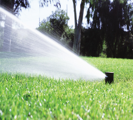 Automatic watering system for grass